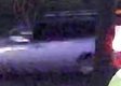 Vehicle pass 16 hrs ago