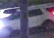 Vehicle pass 13 hrs ago