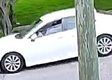 Vehicle pass 42 mins ago