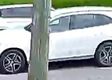 Vehicle pass 4 hrs ago