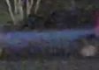 Vehicle pass 8 hrs ago