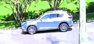 Vehicle pass 30 mins ago