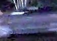 Vehicle pass 12 hrs ago