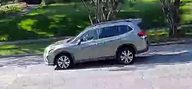 Vehicle pass 8 hrs ago