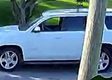 Vehicle pass 22 hrs ago