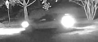 Vehicle pass 52 mins ago