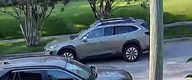 Vehicle pass 46 mins ago