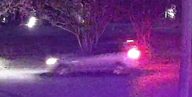 Vehicle pass 8 hrs ago