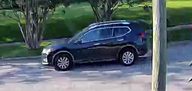 Vehicle pass 31 mins ago